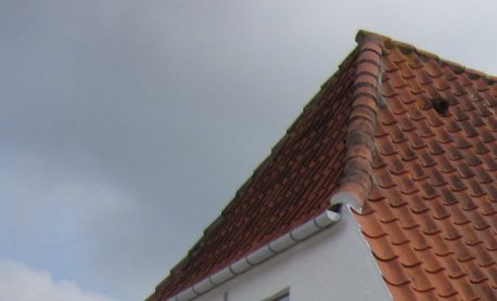 Foto 2012