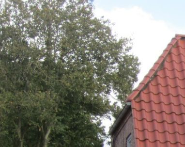 Foto 2012