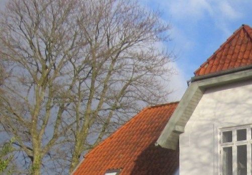 Foto 2014