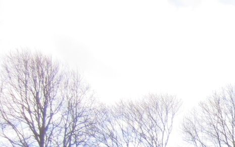 Foto 2014