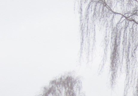 Foto 2014
