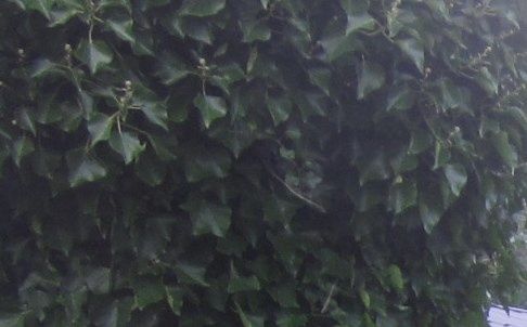 Foto 2014