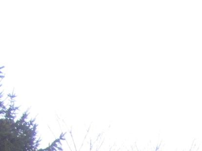 Foto 2015