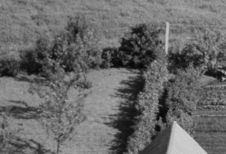 Foto 1953